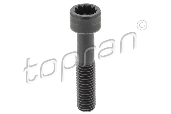 Bolt, propshaft flange (120 024)