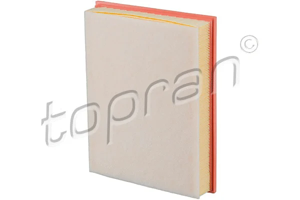 Air Filter (502 214)
