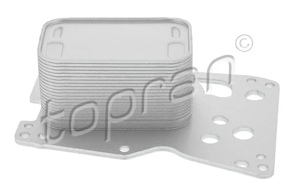 Oil Cooler, engine oil (625 265)