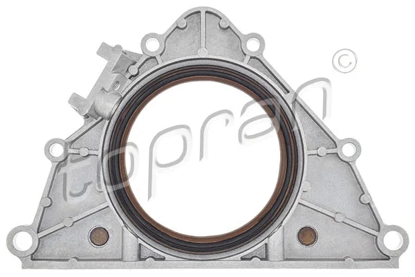 Shaft Seal, crankshaft (501 860)
