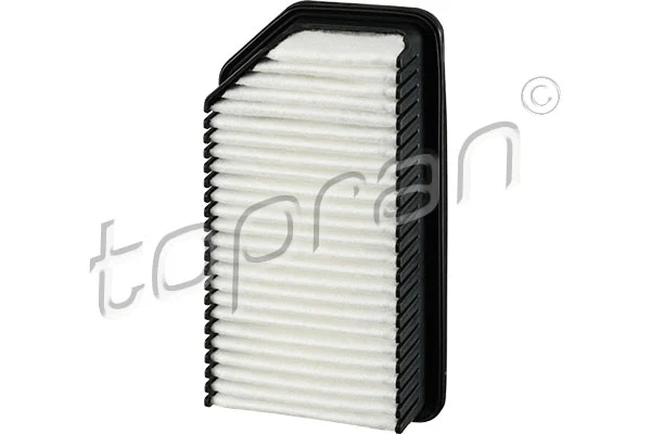 Air Filter (820 864)