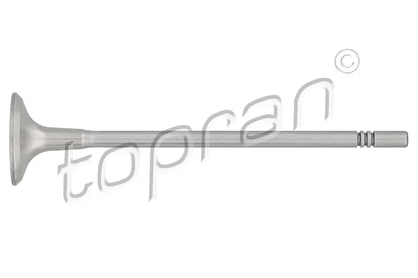 Exhaust Valve (207 300)