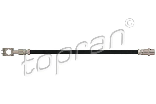 Brake Hose (110 258)
