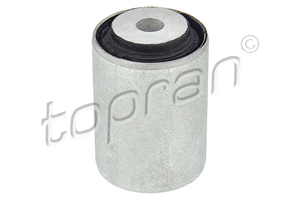 Bushing, axle bracket (401 879)
