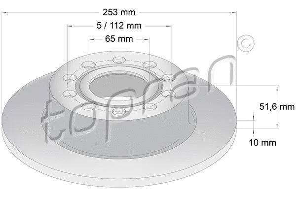 Brake Disc (110 079)