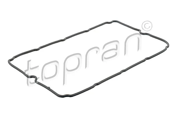 Gasket, cylinder head cover (303 989)