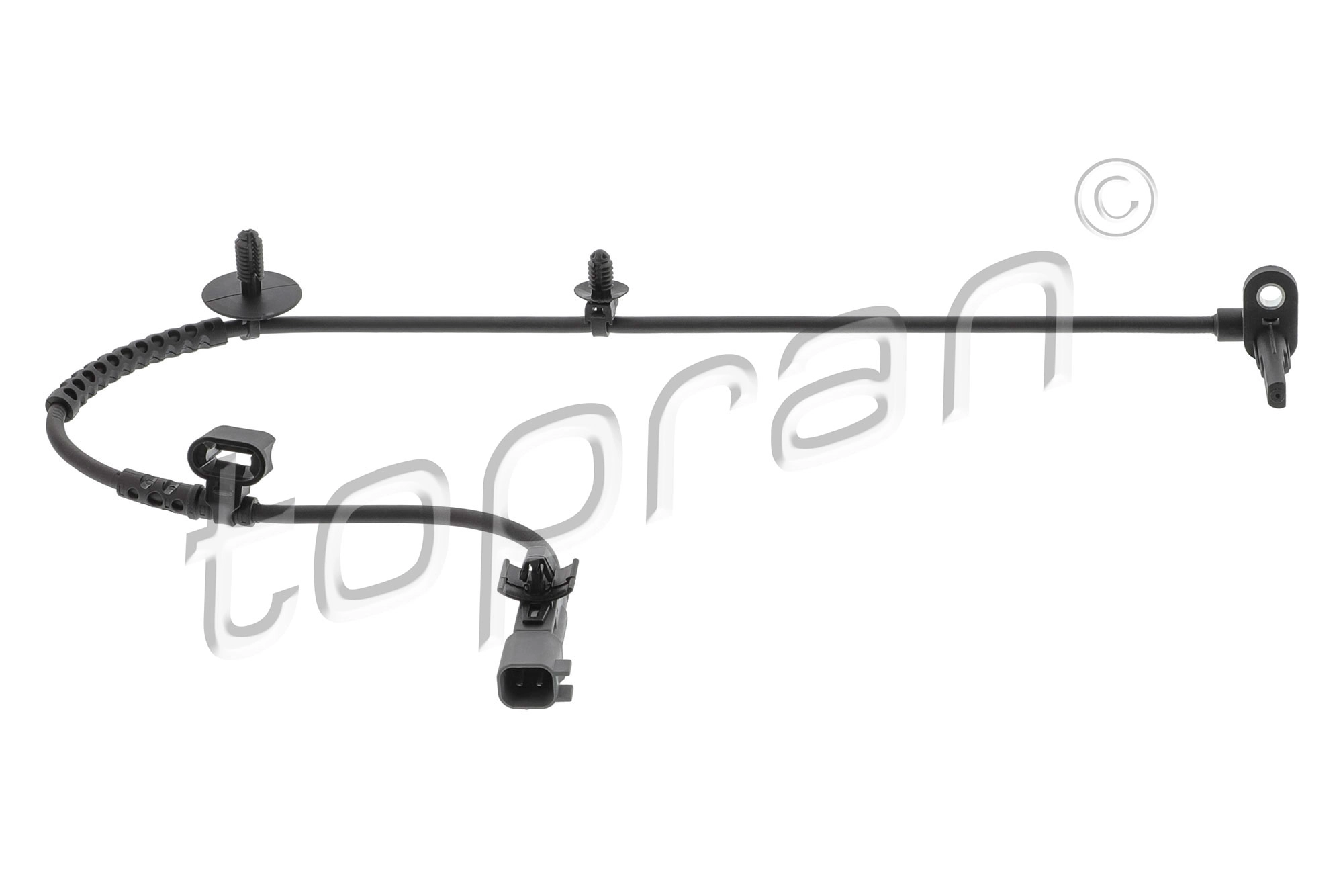 Sensor, wheel speed (209 361)