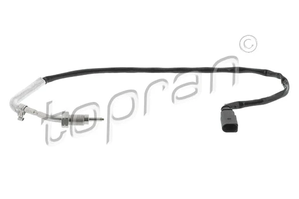 Sensor, exhaust gas temperature (638 593)