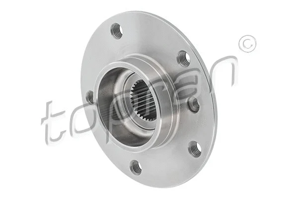 Wheel Hub (503 356)