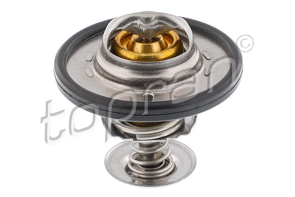 Thermostat, coolant (302 141)