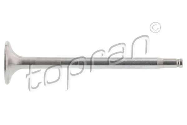 Exhaust Valve (408 565)