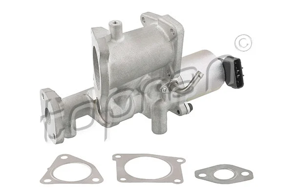 EGR Valve (639 174)