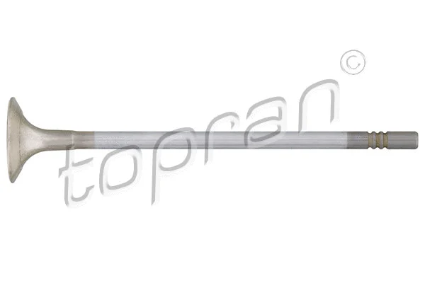 Exhaust Valve (117 106)