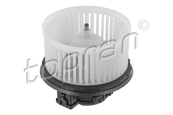 Interior Blower (118 251)