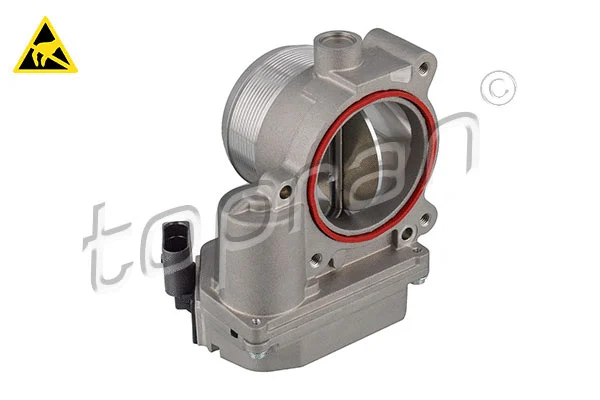 Throttle Body (117 342)