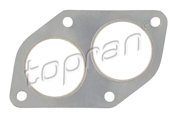 Gasket, exhaust pipe (201 742)