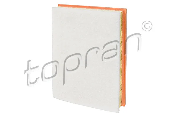 Air Filter (206 977)