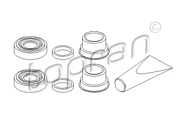 Repair Kit, brake caliper (202 451)