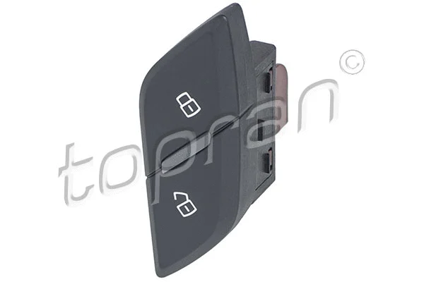 Switch, door lock system (116 244)