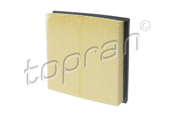 Air Filter (620 877)