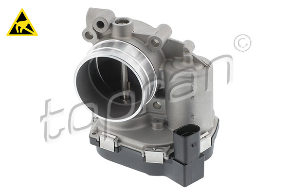 Throttle Body (120 246)