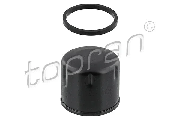 Oil Filter (700 329)