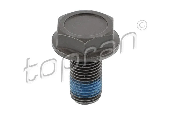 Flywheel Bolt (110 260)