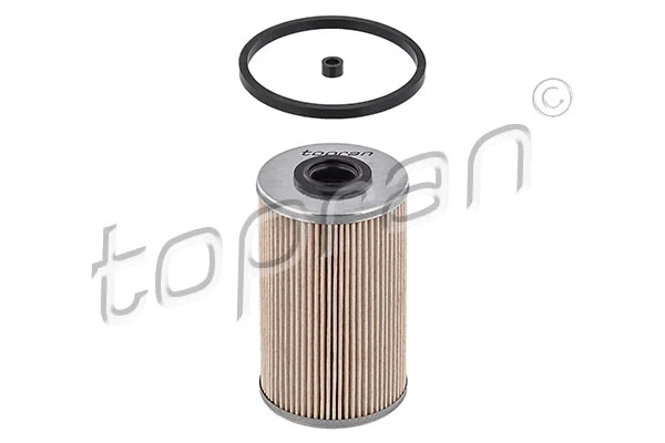 Fuel Filter (207 033)