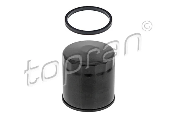 Oil Filter (701 228)