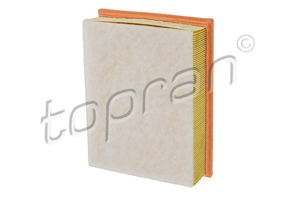 Air Filter (722 274)