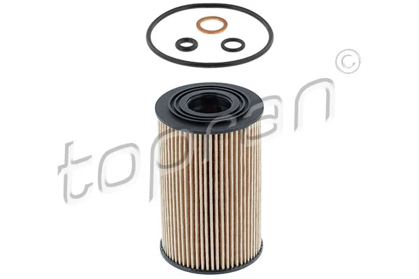 Oil Filter (821 009)