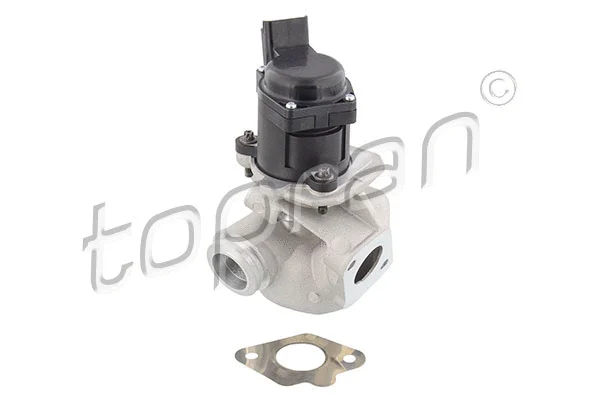 EGR Valve (302 690)