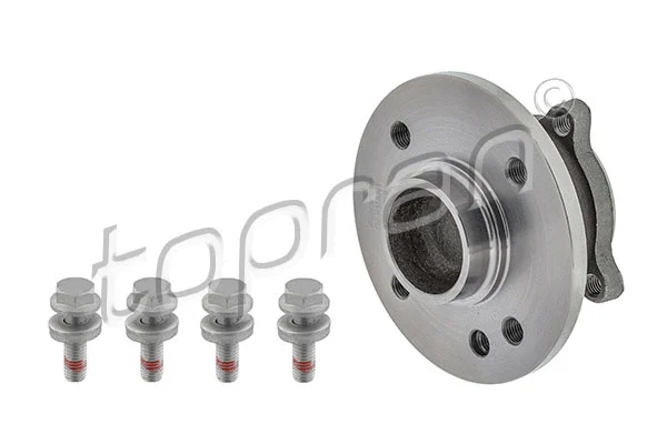 Wheel Bearing Kit (501 019)