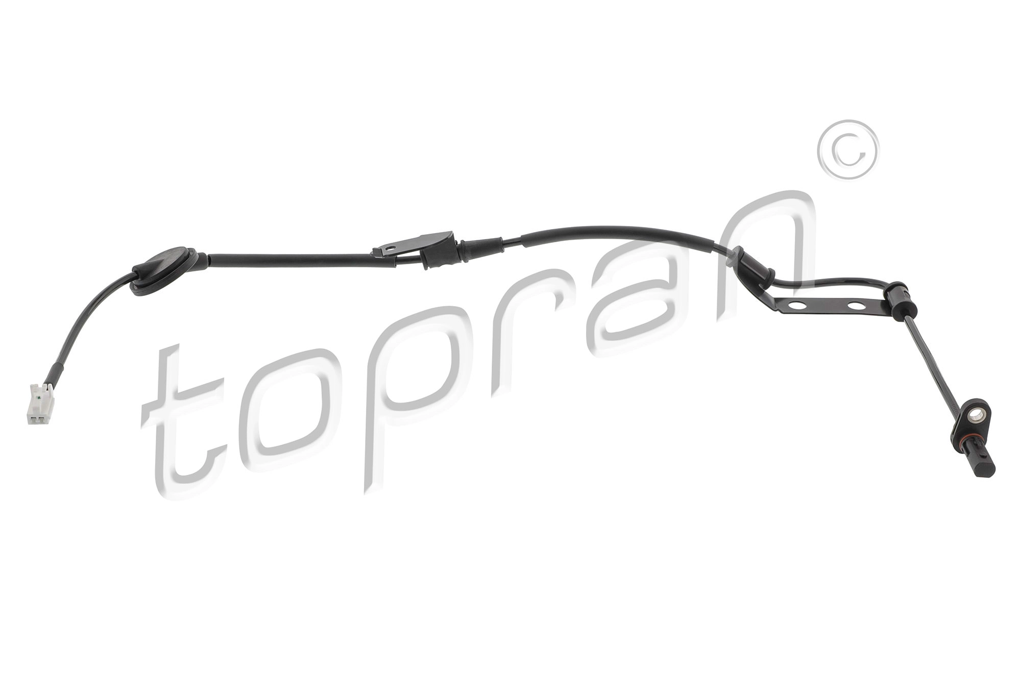 Sensor, wheel speed (821 884)