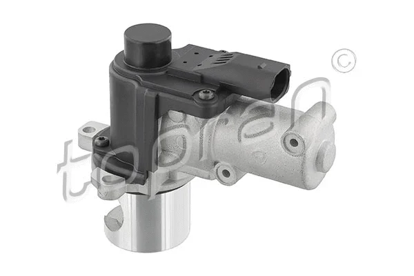 EGR Valve (639 157)
