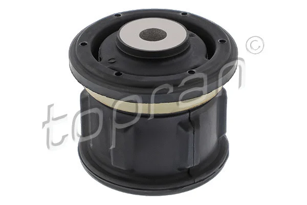 Bushing, axle beam (300 694)
