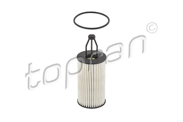 Oil Filter (409 298)