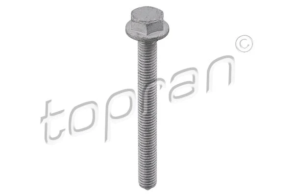 Screw (115 703)