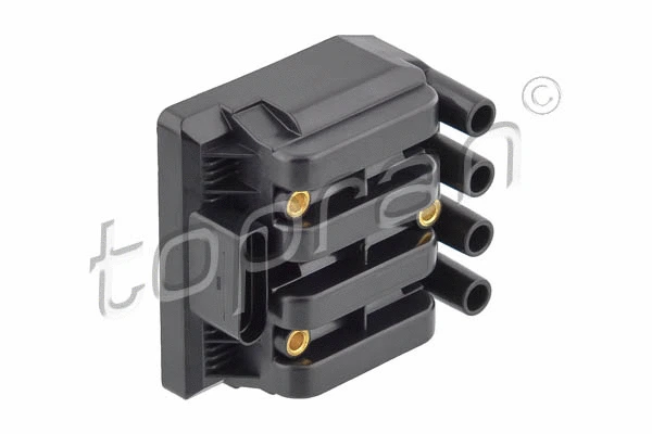 Ignition Coil (109 539)