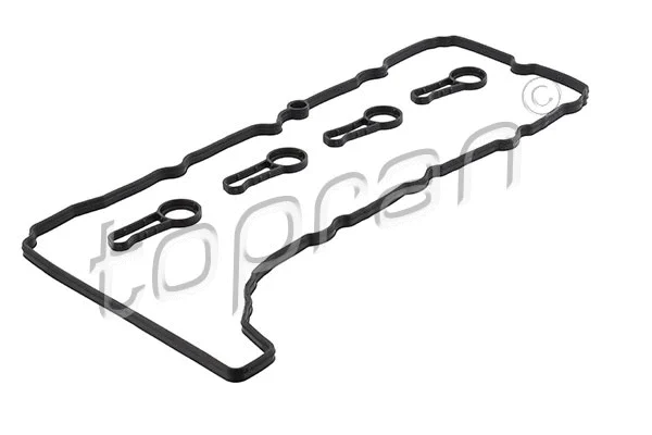 Gasket Set, cylinder head cover (503 302)