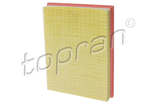 Air Filter (206 609)