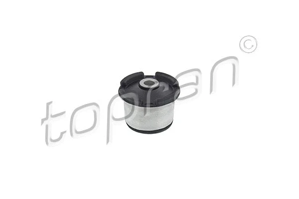 Bushing, axle beam (205 824)