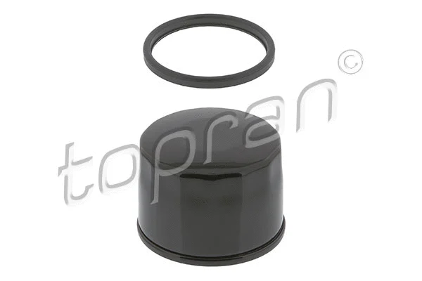 Oil Filter (407 921)
