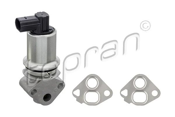EGR Valve (113 751)