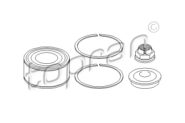 Wheel Bearing Kit (700 637)
