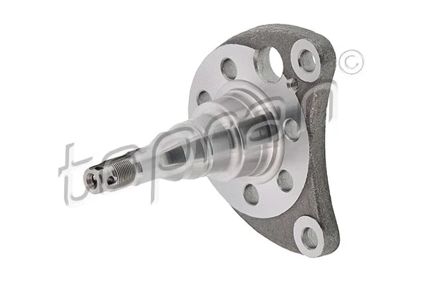 Kingpin, axle beam (102 820)