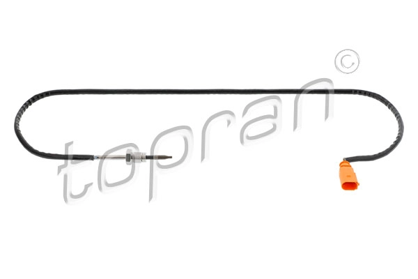 Sensor, exhaust gas temperature (119 563)