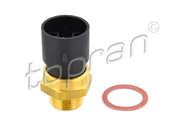 Temperature Switch, radiator fan (202 357)