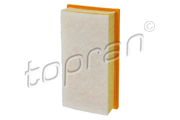 Air Filter (720 968)