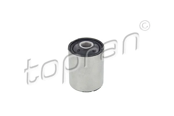 Bushing, leaf spring (302 755)